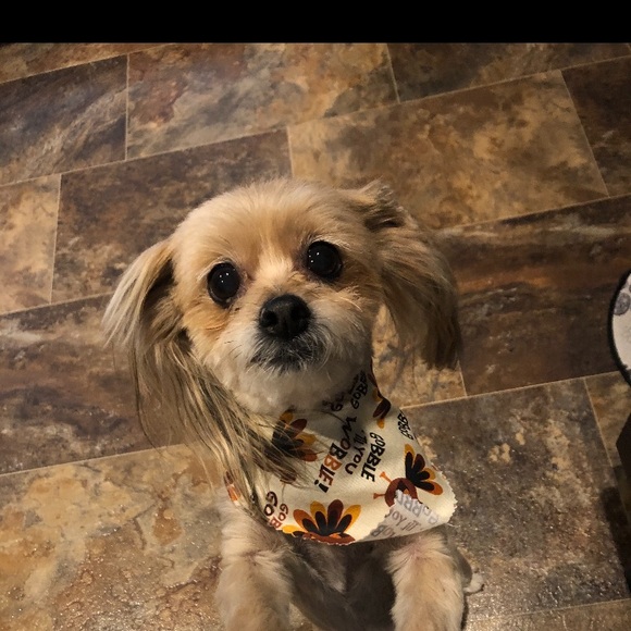 Meet your Posher, Brooklyn - Picture 1 of 1